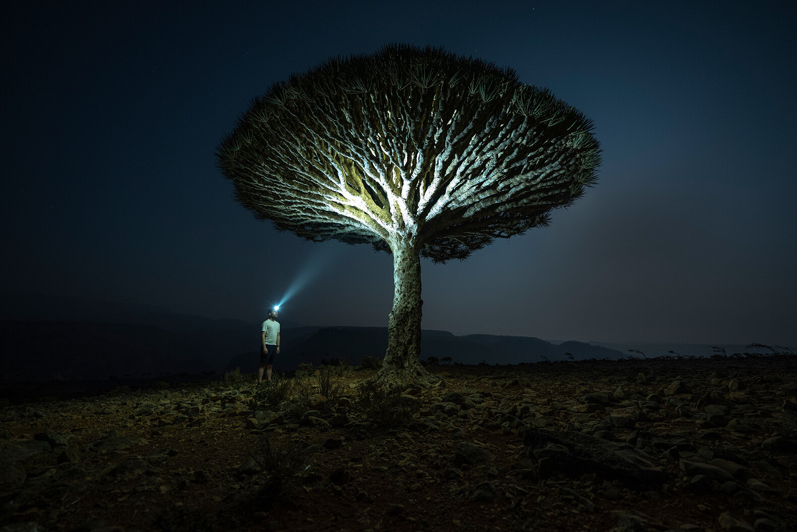 Đèn đội đầu LEDLENSER HF6R Signature độ sáng 1000 Lumens chiếu xa 170m