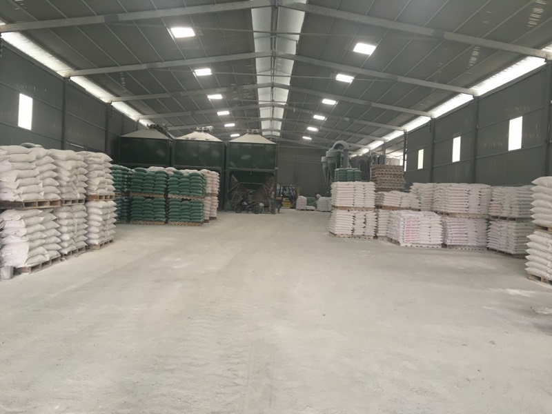 Thị trường thức ăn chăn nuôi trong và ngoài nước