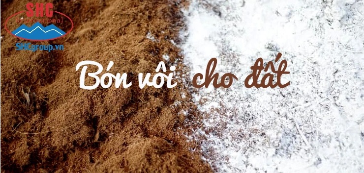 Vôi nông nghiệp- cách bón Vôi hiệu quả cho đất