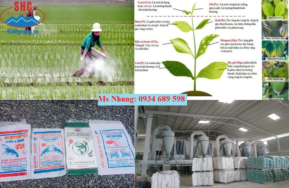 TÁC DỤNG CỦA VÔI TRONG QUÁ TRÌNH CẢI TẠO ĐẤT