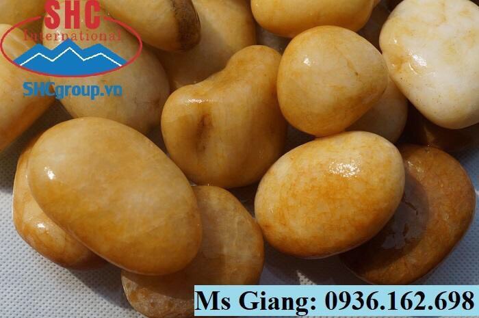 CUNG CẤP SỎI THỦY SINH CHẤT LƯỢNG CAO