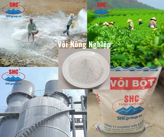 VÔI BỘT LÀ GÌ ? TRONG NÔNG NGHIỆP VÔI CÓ TÁC DỤNG NHƯ THẾ NẢO???