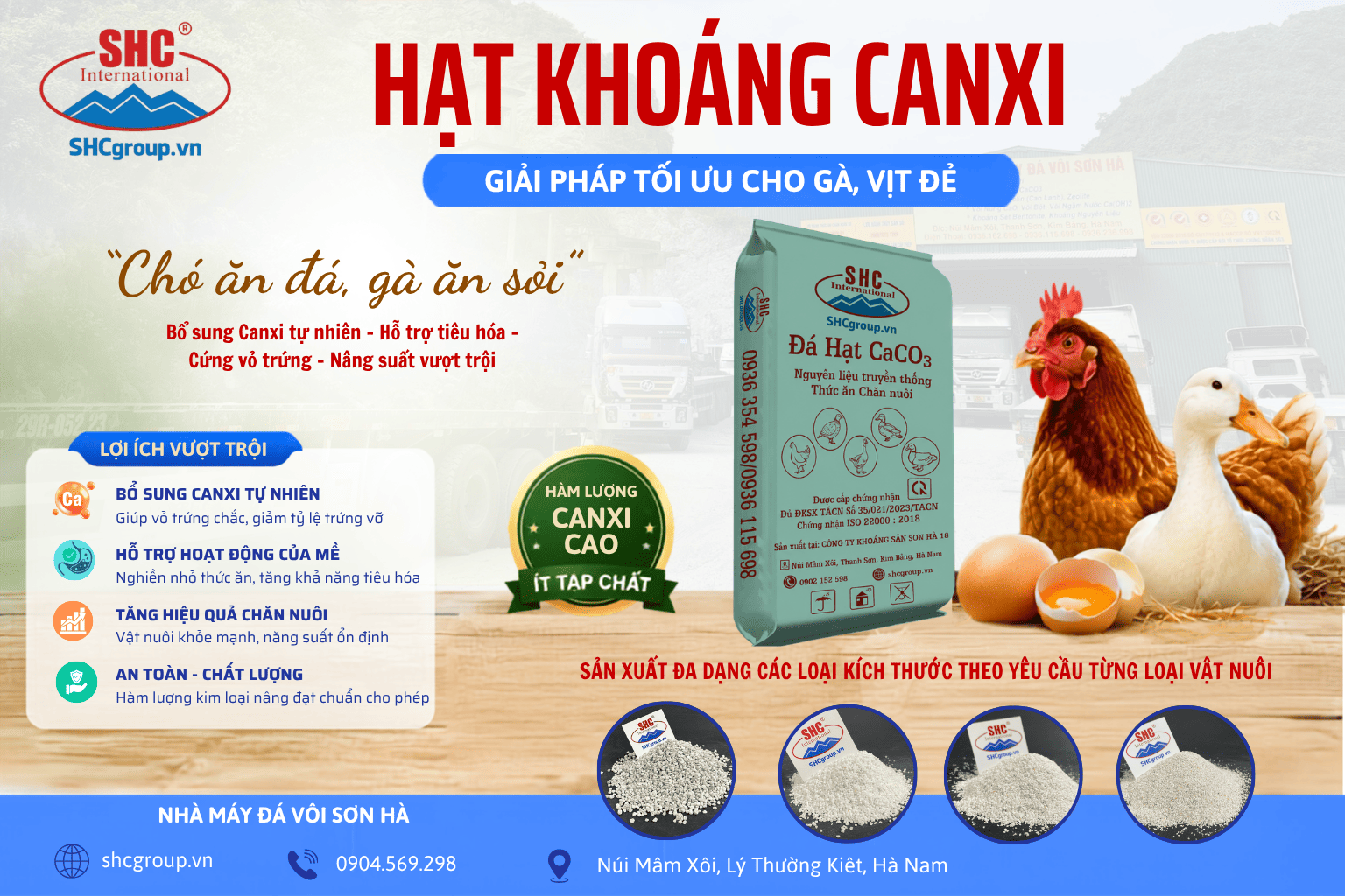 LỰA CHỌN ĐÚNG NGUỒN NGUYÊN LIỆU HẠT KHOÁNG CANXI - GIẢI PHÁP TỐI ƯU CHO GÀ, VỊT ĐẺ NĂNG SUẤT CAO