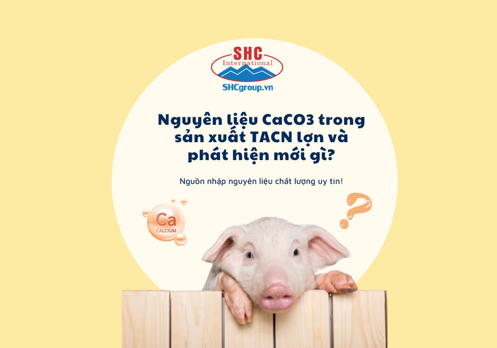 CHẤT LƯỢNG NGUYÊN LIỆU CANXI CACBONAT TRONG SẢN XUẤT THỨC ĂN CHĂN NUÔI CHO LỢN VÀ NHỮNG PHÁT HIỆN GẦN ĐÂY