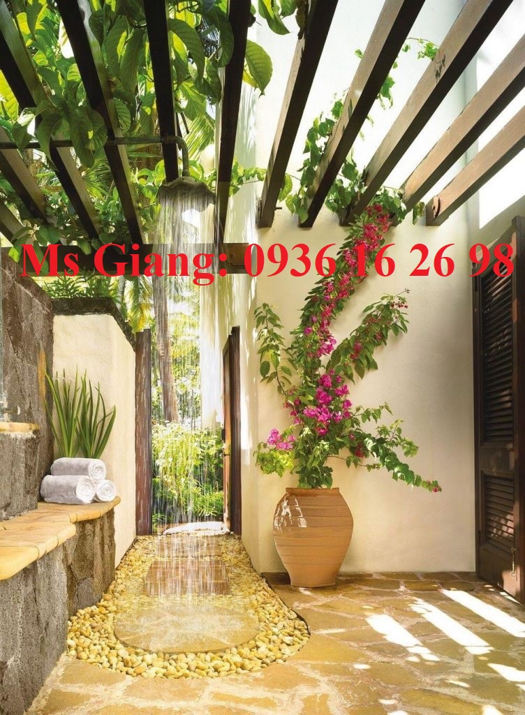 TRANG TRÍ KHÔNG GIAN SỐNG VỚI SỎI VÀNG TỰ NHIÊN