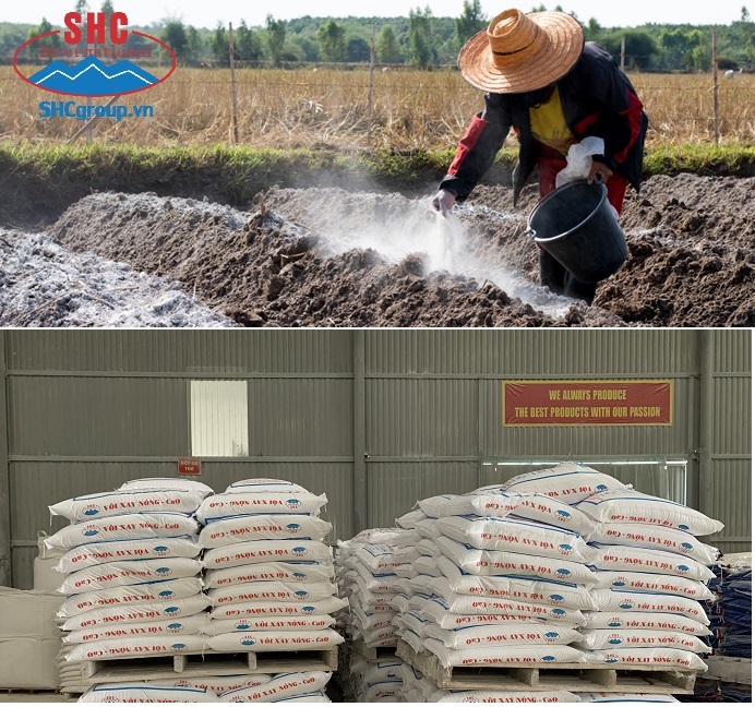 LỢI ÍCH CỦA VIỆC BÓN VÔI CHO ĐẤT