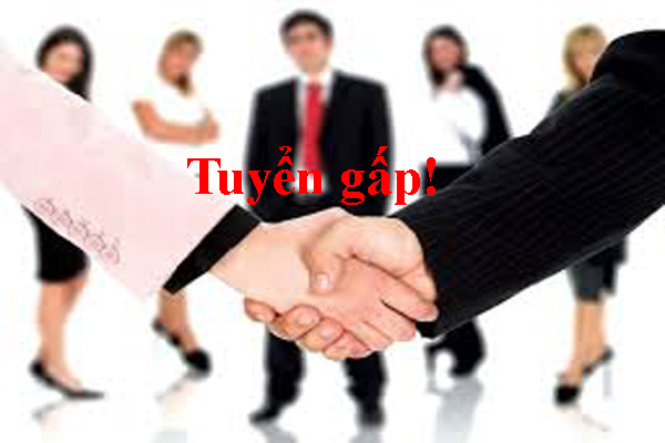 Tuyển dụng gấp kế toán tháng 12/2017