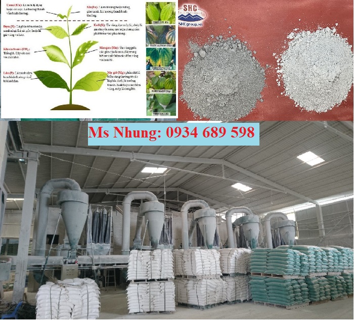 Tác dụng của Canxi với Cây trồng