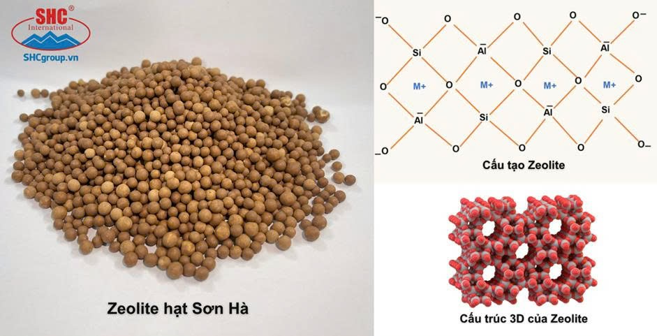 Ứng dụng Zeolite trong nuôi trồng thủy sản