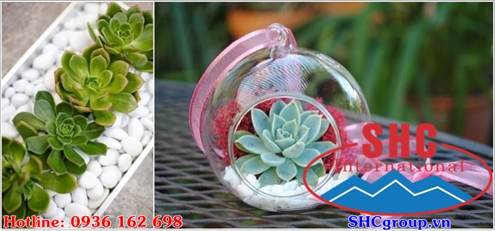 Sỏi trắng nhỏ trang trí