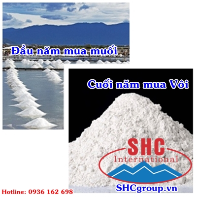 đầu năm mua muối, cuối năm mua vôi