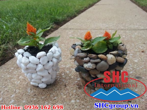 Sỏi trắng, sỏi vàng nâu