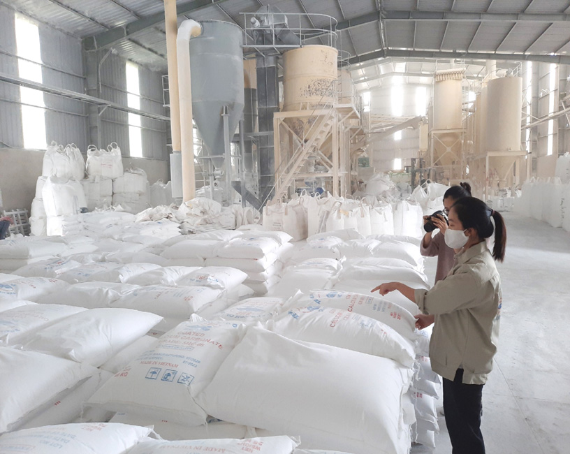 CALCIUM CARBONATE POWDER