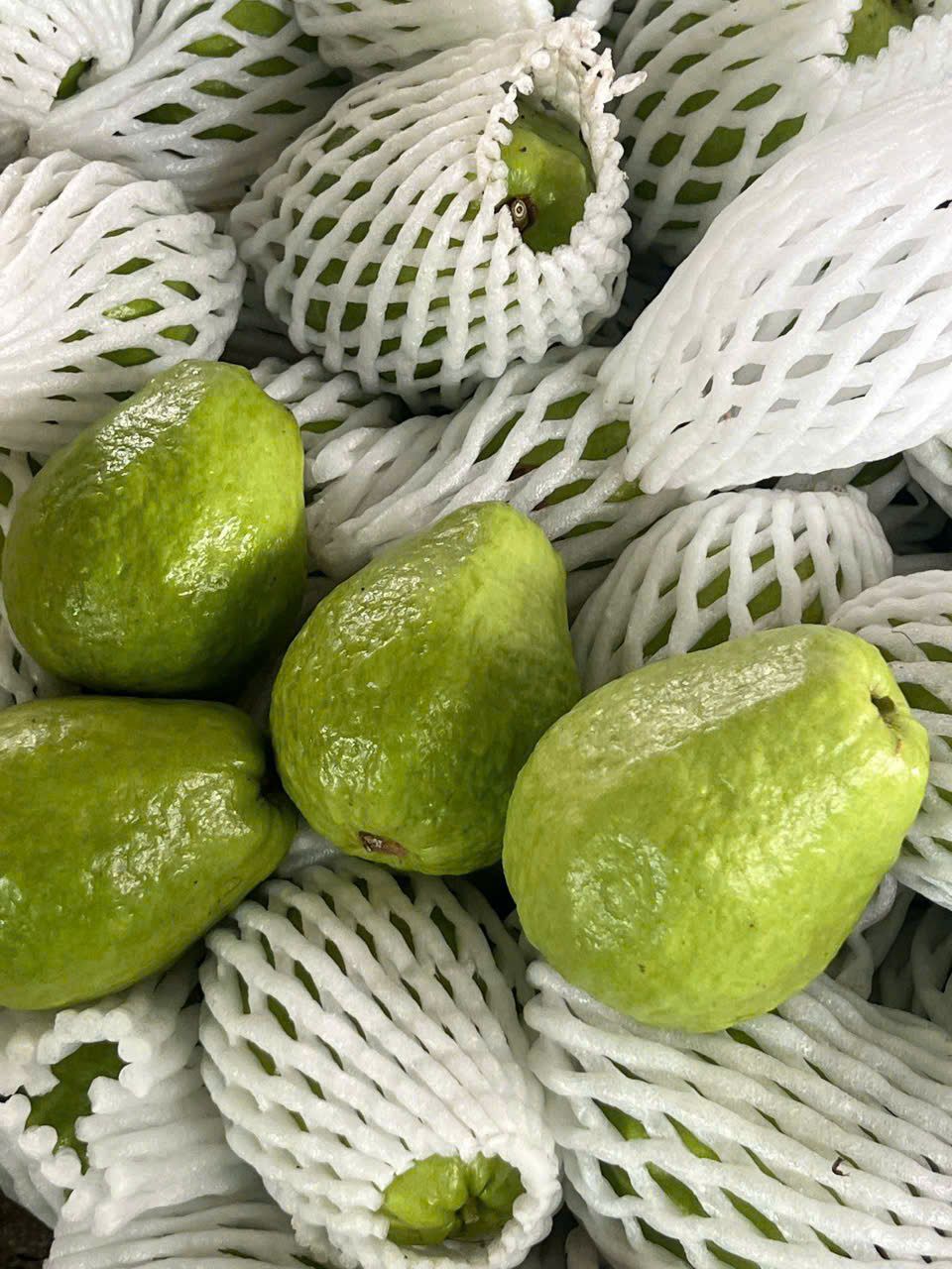 Guava