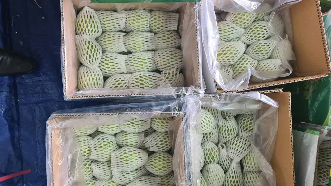 Guava