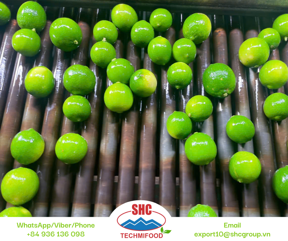 Seedless Lime