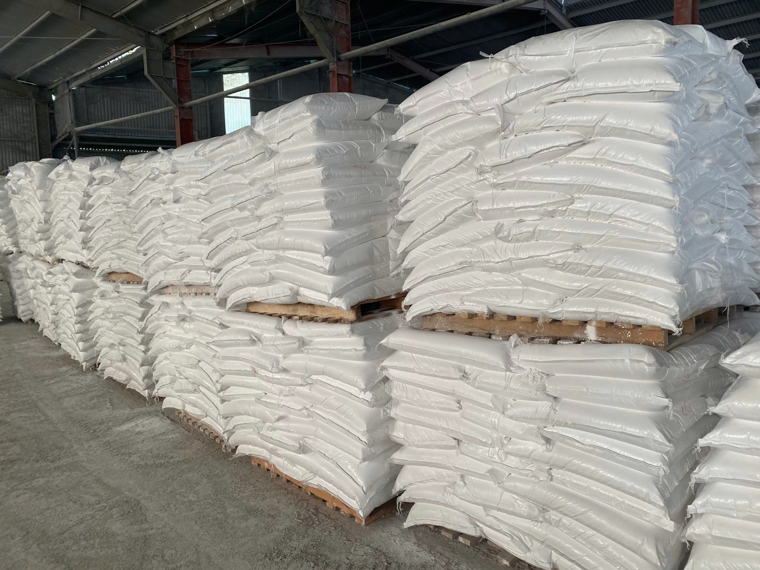 CALCIUM CARBONATE POWDER