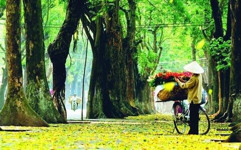 Hà Nội và TP.HCM - Top 10 thành phố tuyệt vời nhất Châu Á