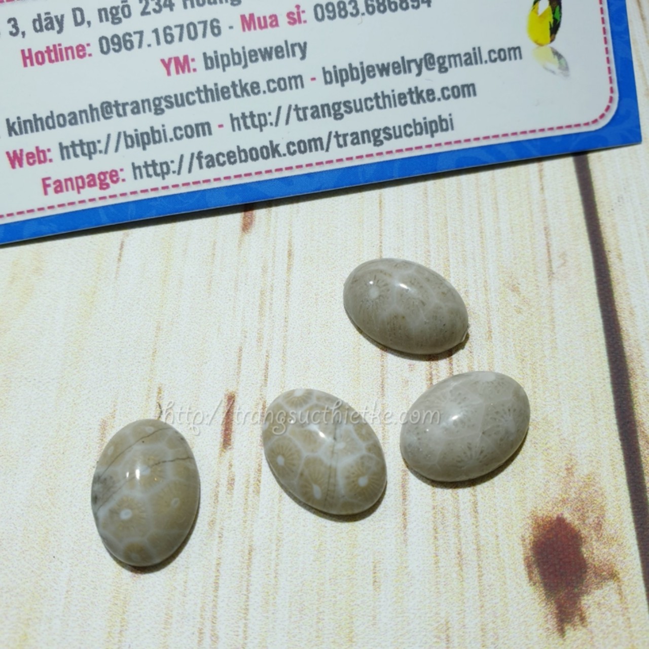 Mặt đá san hô hóa thạch