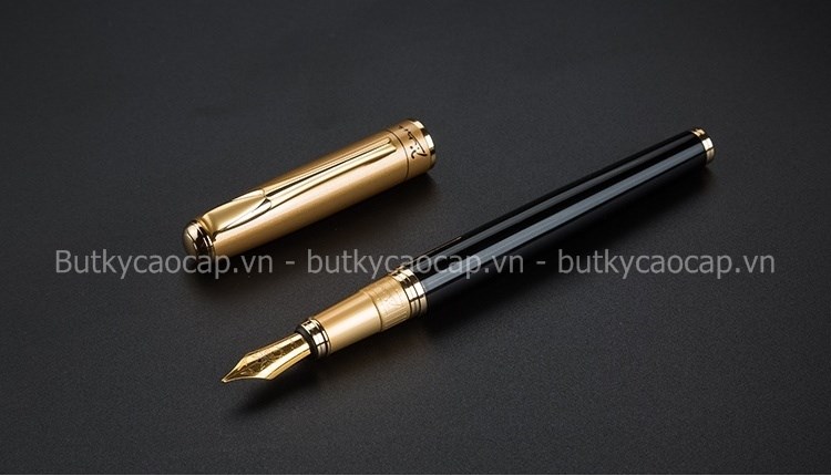 Bút máy Picasso PS-906FG