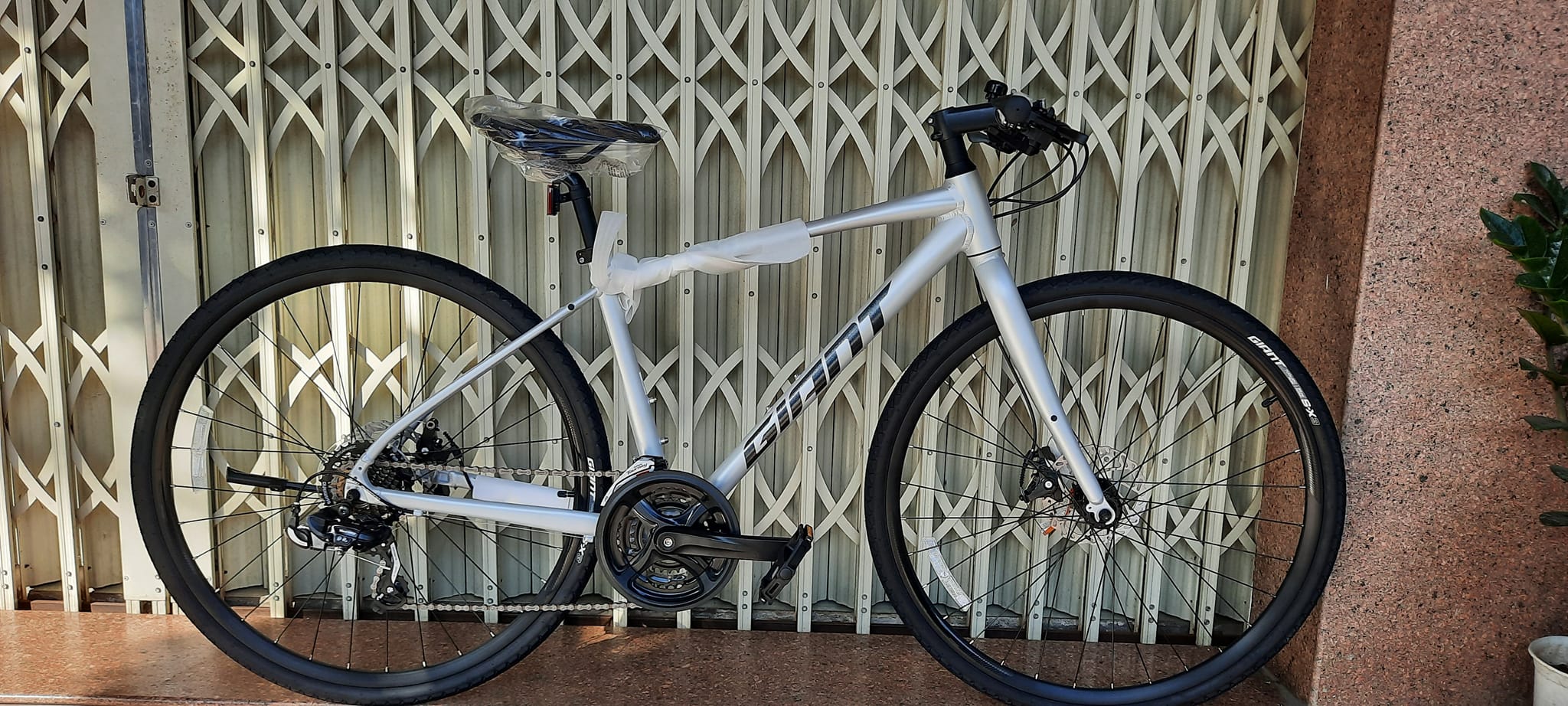 Xe đạp Touring GIANT escape Dics - Main Image