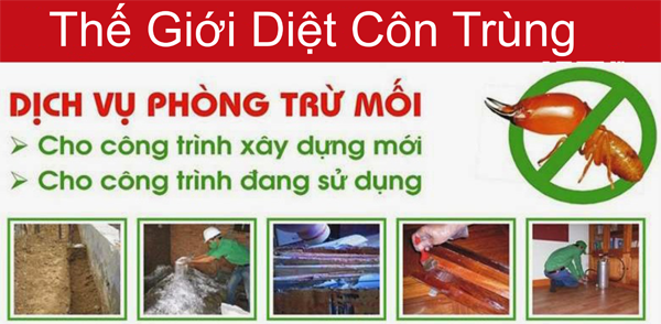 Dịch vụ diệt mối tận gốc - 3