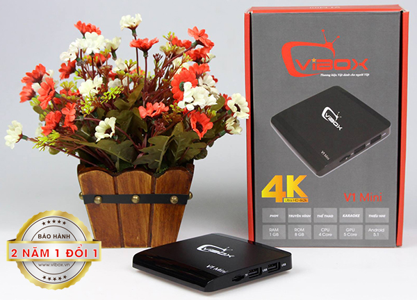 Vibox V1 Mini giá rẻ nhất đáp ứng tốt cho nhu cầu giải trí gia đình