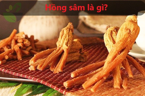 Hồng sâm là gì? Hồng sâm có tác dụng gì?