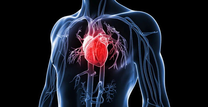 Lâm sàng Hồng Sâm RG3 giúp ngăn ngừa bệnh tim mạch