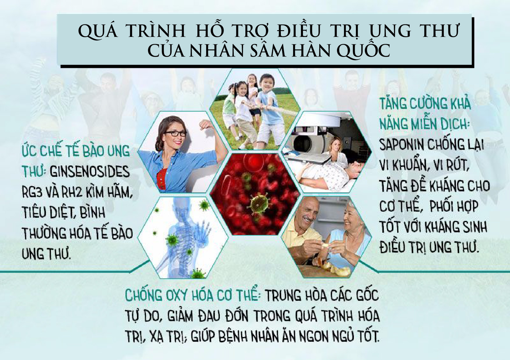 Vì sao không nên dùng nhân sâm cho người bệnh ung thư?