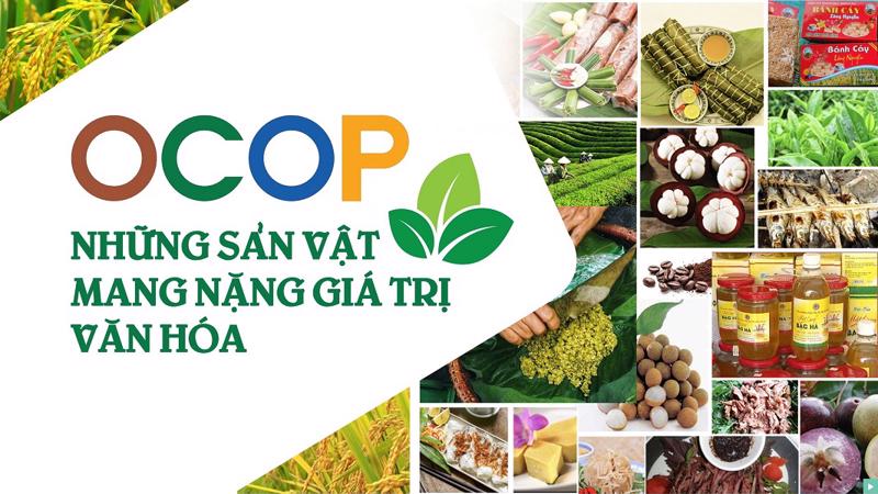 IN ẤN BAO BÌ TEM NHÃN CHO SẢN PHẨM OCOP