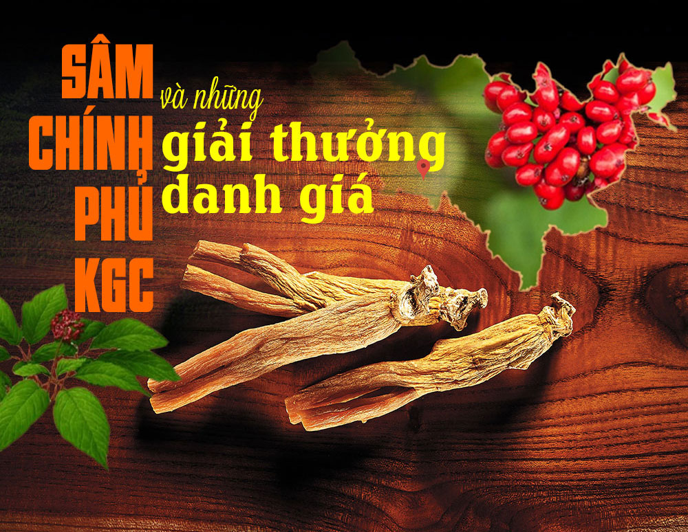 Hồng sâm chính phủ Cheong Kwan Jang số 1 Hàn Quốc - Tinh hoa trời đất