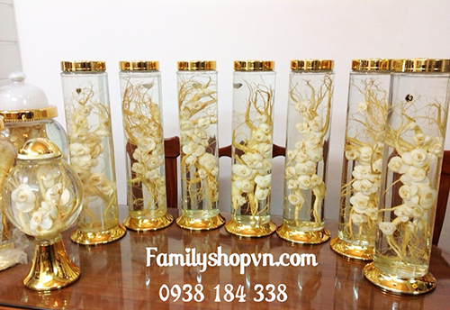 Những bình rượu hoa Nhân Sâm không thể bỏ qua ngày Tết Những bình rượu hoa Nhân Sâm không thể bỏ qua ngày Tết