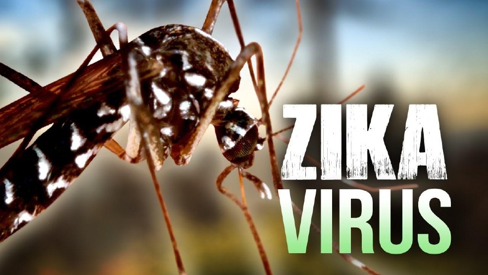 Số người nhiễm ZIka tại TPHCM tăng lên đến 57 người