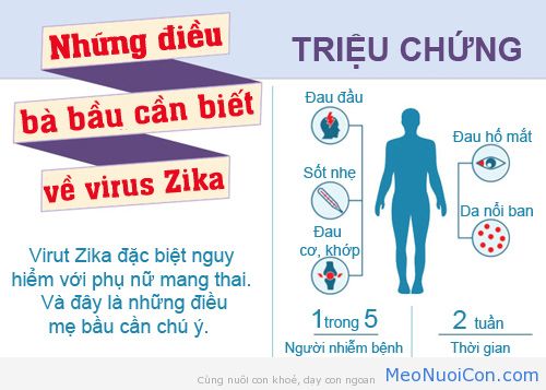 Dấu hiệu để nhận biết nhiễm virus Zika chưa ?