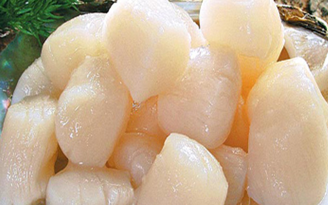 thịt sò điệp