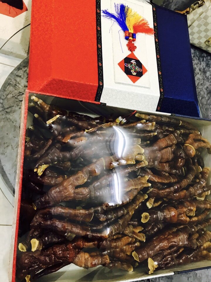 Nấm linh chi sừng hươu Hàn Quốc
