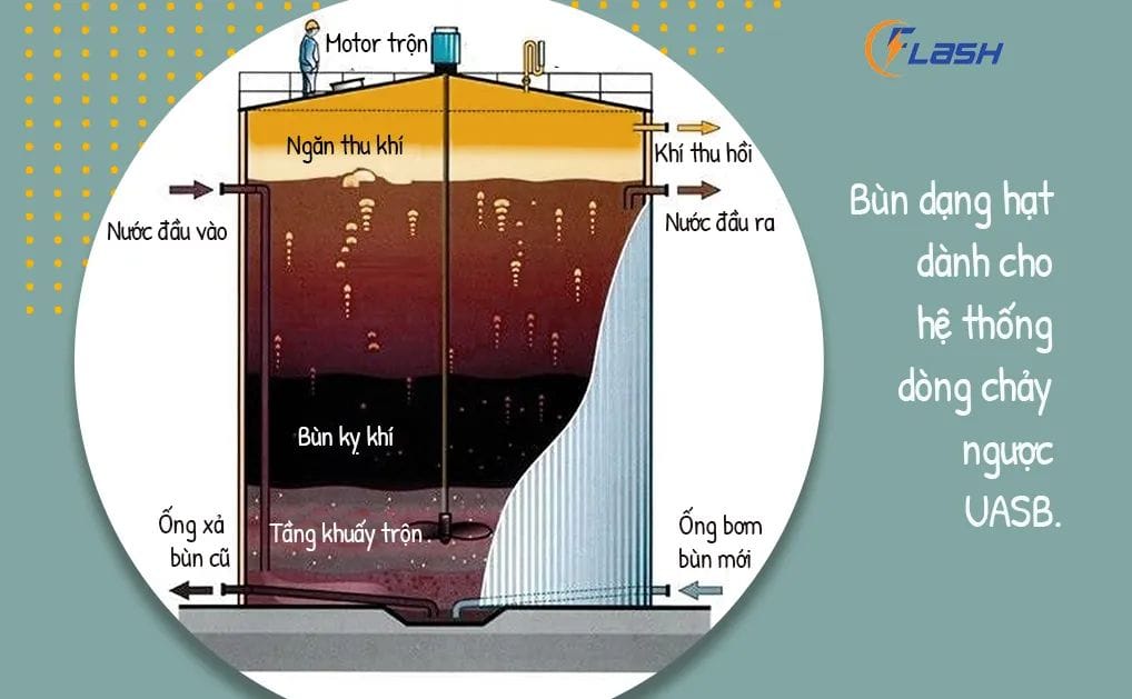 Vai trò của bể phân hủy kỵ khí trong hệ thống xử lý nước thải bằng PP sinh học AAO