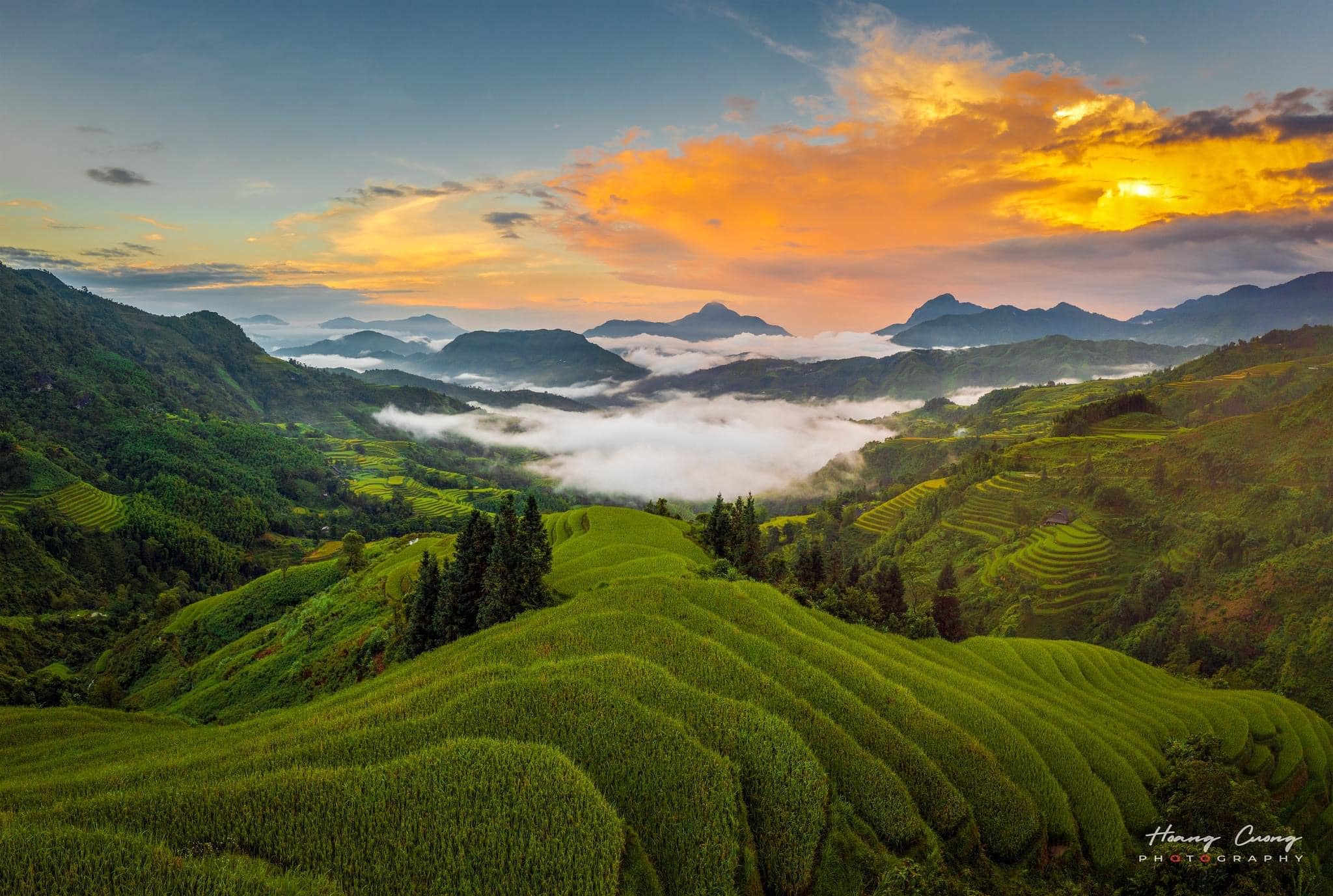 ANH DỰ AN FB