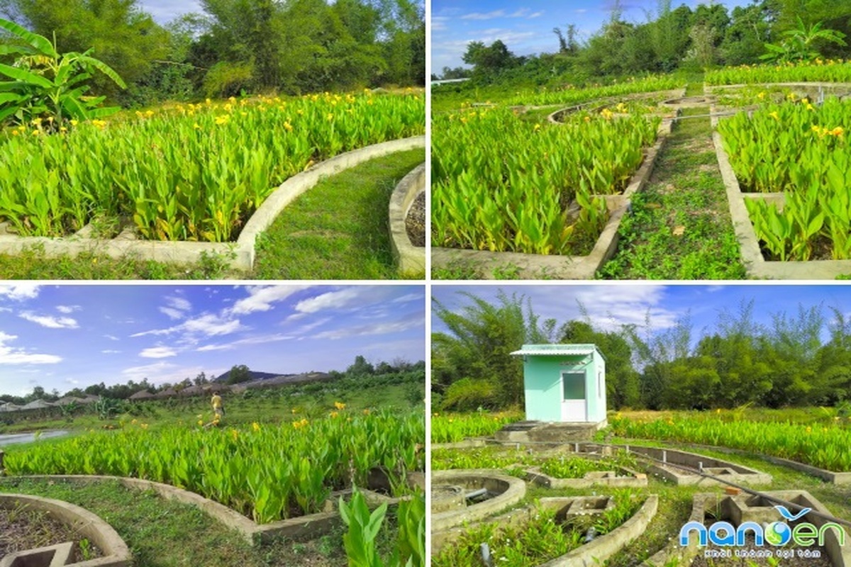 Xử lý nước thải sinh hoạt bằng công nghệ kỵ khí kết hợp với bãi lọc trồng cây