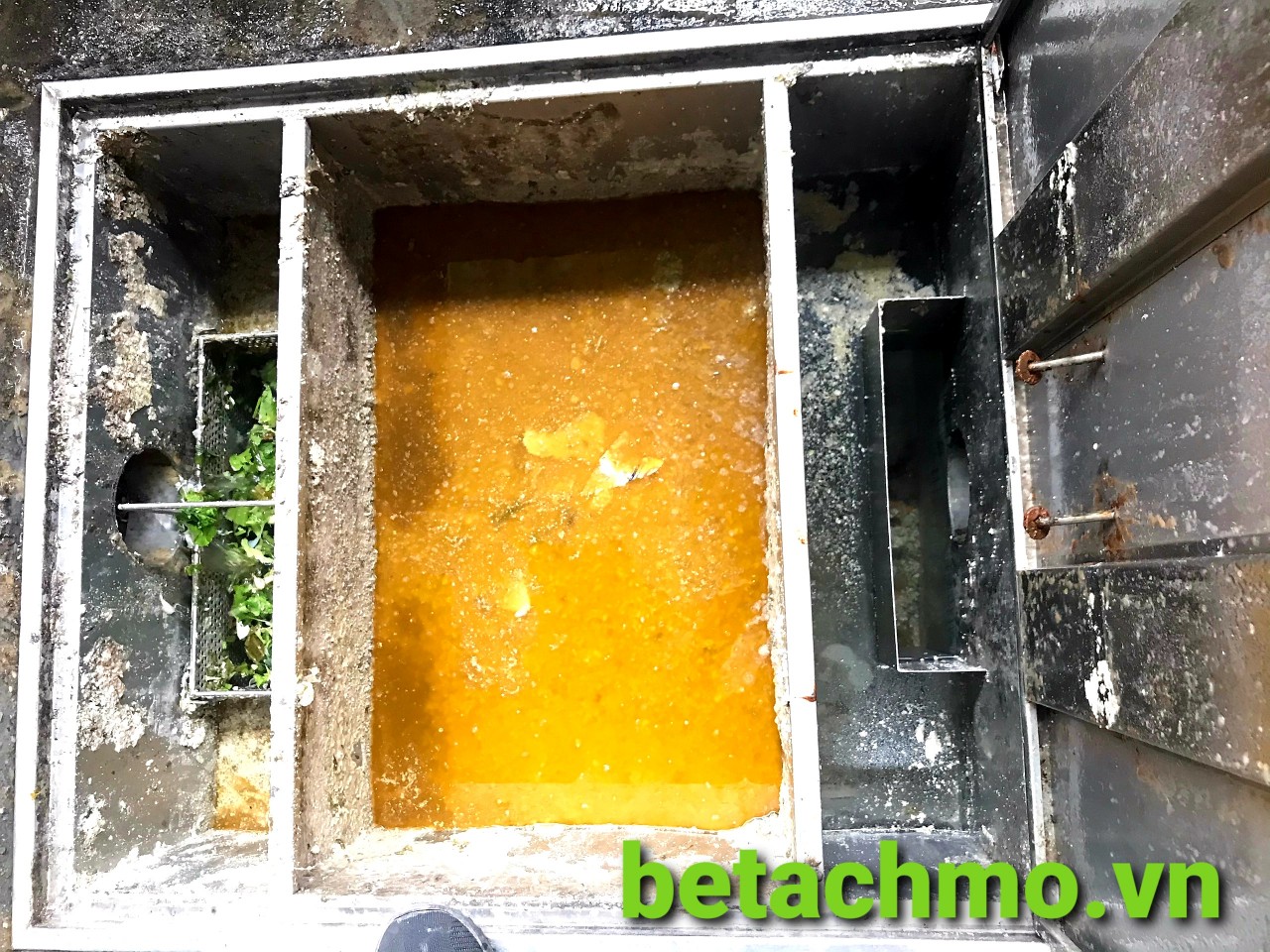 Kinh nghiệm của khách hàng tìm mua bể tách mỡ cao cấp giá tốt