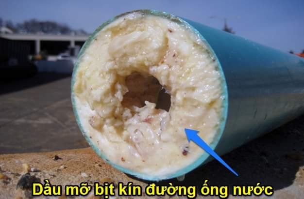 Ưu đãi giảm giá đặc biệt sau mùa Covid đối với bể tách mỡ gia đình, nhà hàng