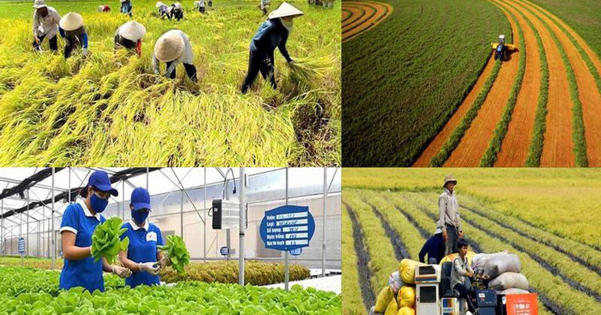 Sổ tay hướng dẫn phát triển nông nghiệp tuần hoàn phù hợp với điều kiện ở Việt Nam - Cẩm nang phát triển nông nghiệp bền vững