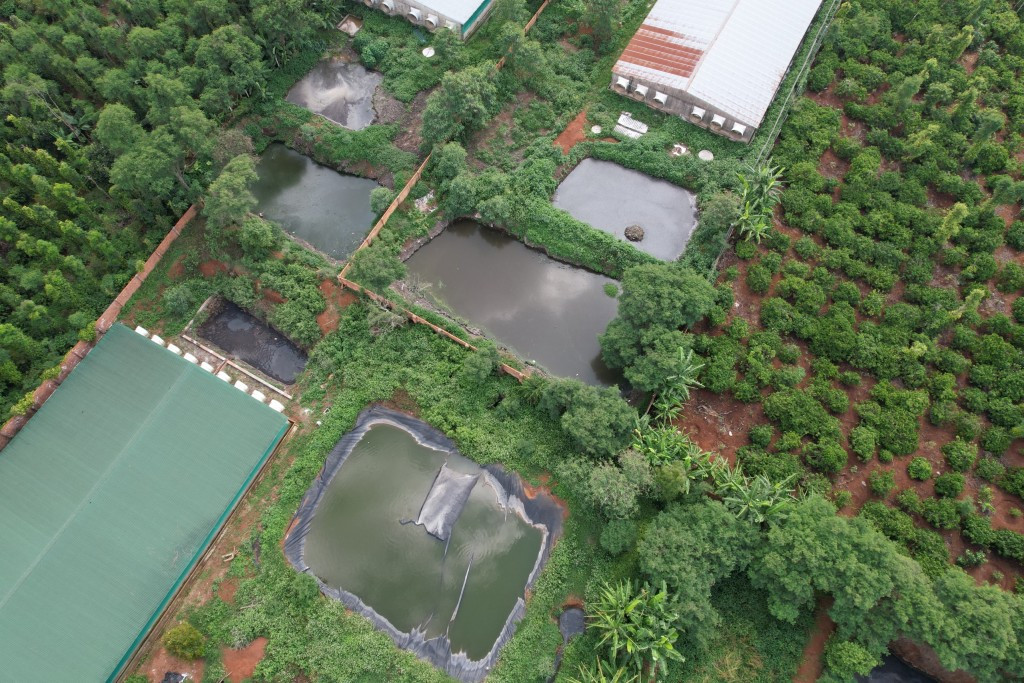 Xử lý chất thải chăn nuôi - Chìa khoá thúc đẩy phát triển Nông nghiệp Tuần hoàn bền vững