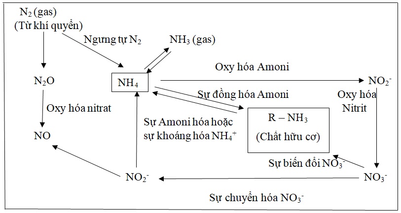 Giải pháp thu hồi chất dinh dương từ rác thải sinh hoạt phục vụ nông nghiệp