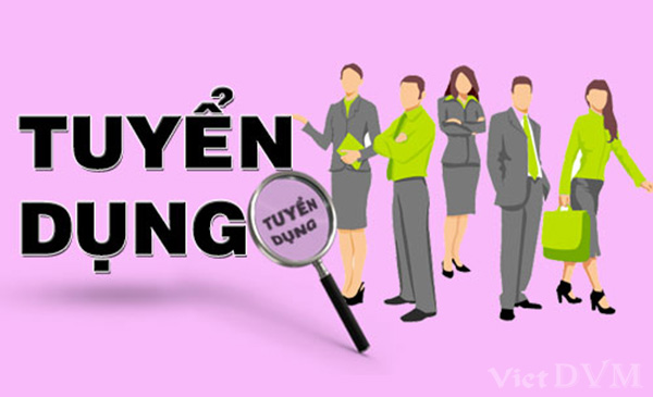 Thông báo tuyển dụng nhân sự - đi làm ngay