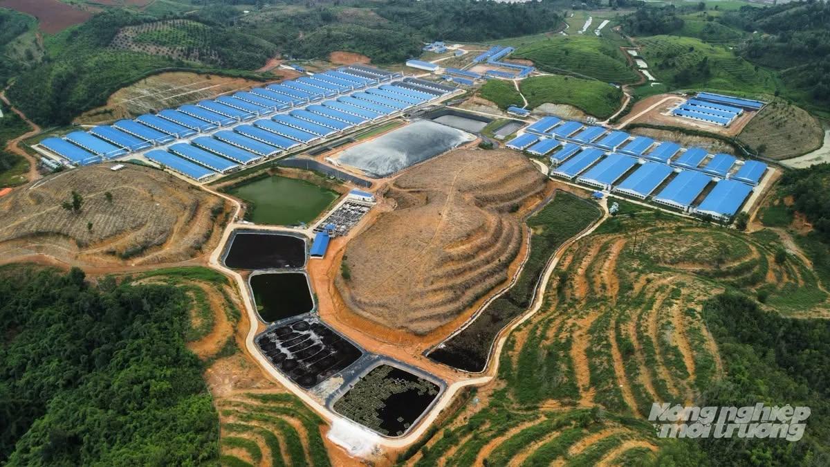 Hệ thống xử lý nước thải chăn nuôi