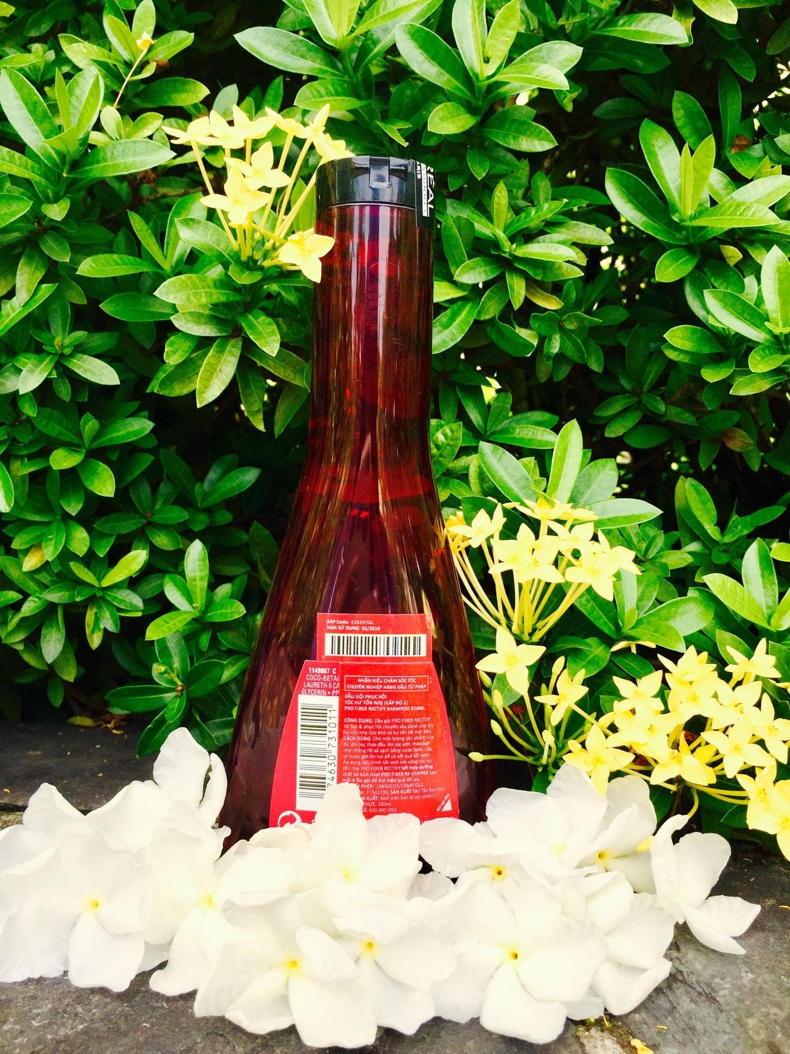Dầu gội Loreal Pro Fiber 250ml