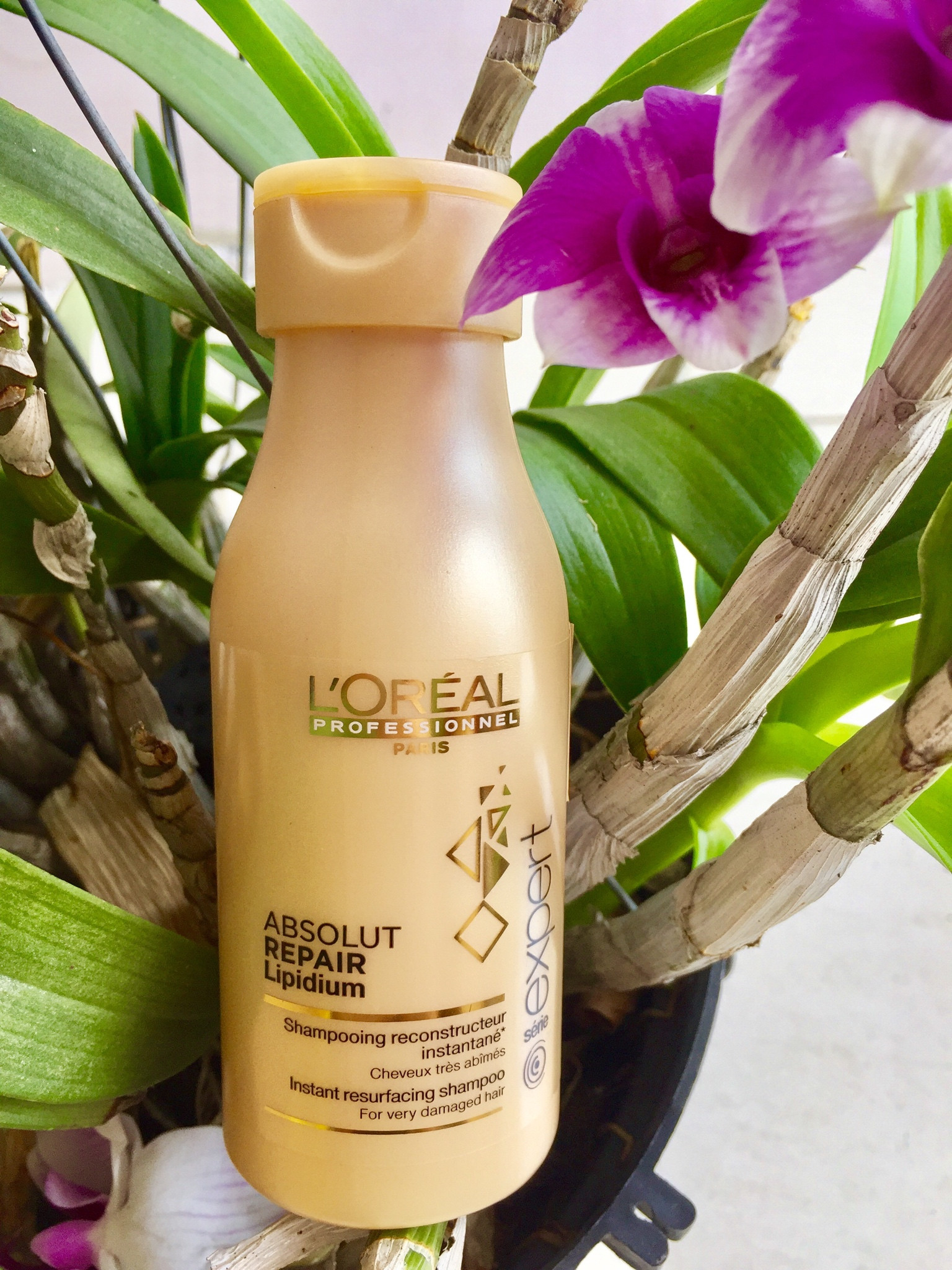 Dầu gội Loreal professionel 100ml