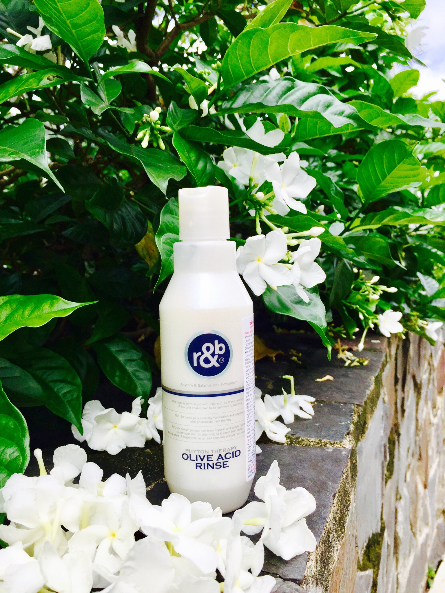 Dầu xả thảo dược R&B Olive Acid 250ml